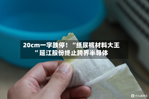 20cm一字跌停！“纸尿裤材料大王”延江股份终止跨界半导体-第2张图片