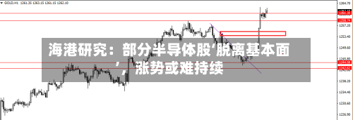 海港研究：部分半导体股‘脱离基本面’，涨势或难持续-第2张图片