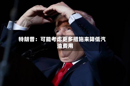 特朗普:可能考虑更多措施来降低汽油费用
-第2张图片