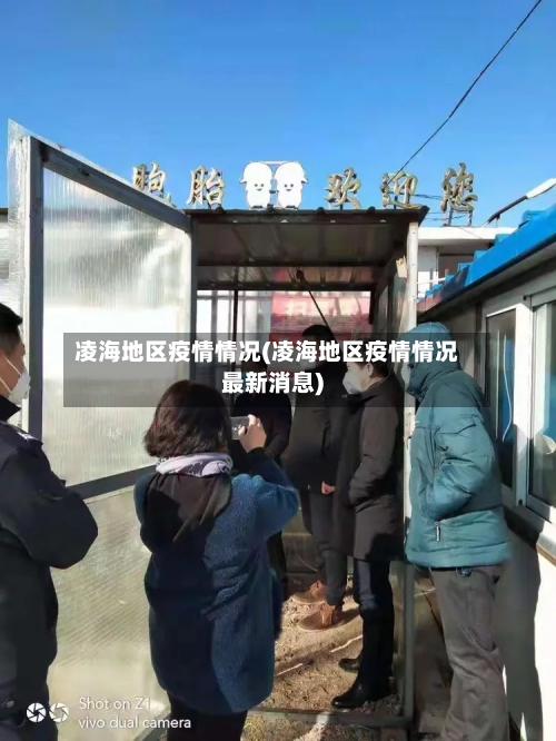 凌海地区疫情情况(凌海地区疫情情况最新消息)-第2张图片