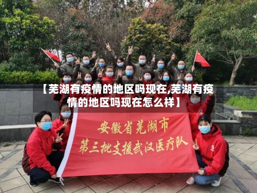 【芜湖有疫情的地区吗现在,芜湖有疫情的地区吗现在怎么样】-第3张图片
