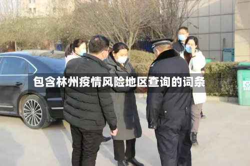 包含林州疫情风险地区查询的词条