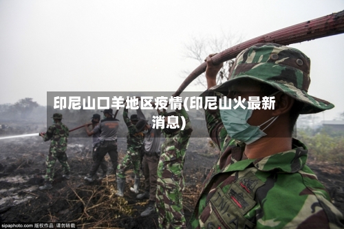 印尼山口羊地区疫情(印尼山火最新消息)-第2张图片