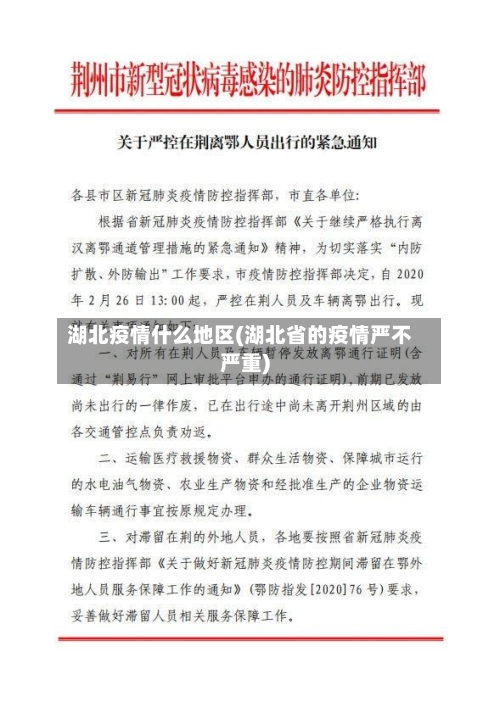 湖北疫情什么地区(湖北省的疫情严不严重)-第3张图片