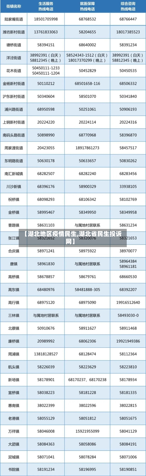 【湖北地区疫情民生,湖北省民生投诉网】-第3张图片