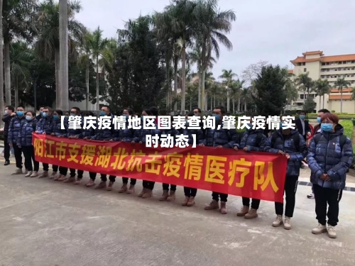 【肇庆疫情地区图表查询,肇庆疫情实时动态】