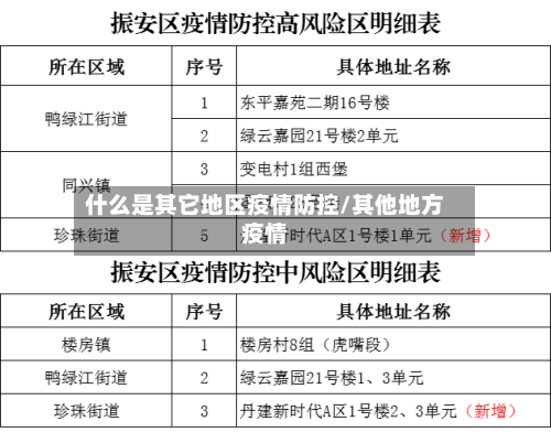 什么是其它地区疫情防控/其他地方疫情