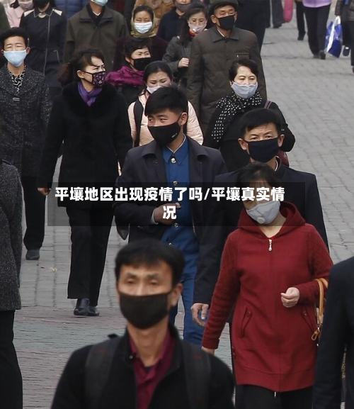 平壤地区出现疫情了吗/平壤真实情况-第3张图片