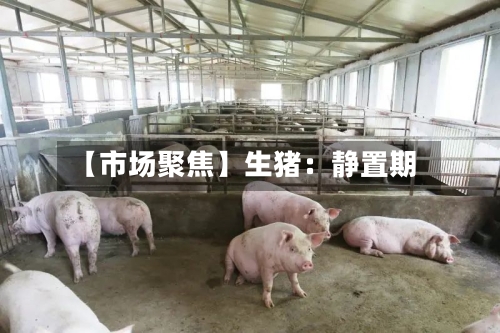 【市场聚焦】生猪：静置期-第2张图片