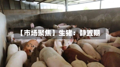 【市场聚焦】生猪：静置期-第3张图片