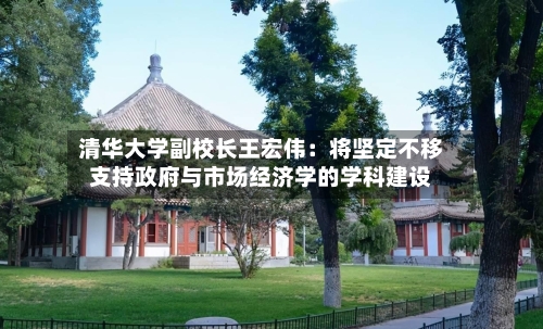 清华大学副校长王宏伟:将坚定不移支持政府与市场经济学的学科建设-第3张图片
