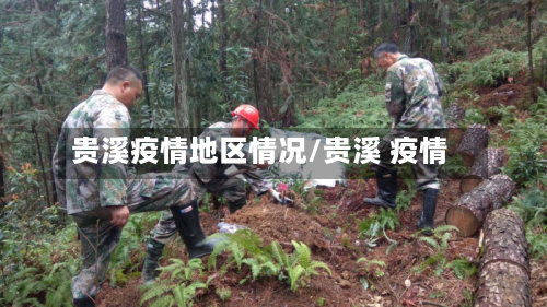 贵溪疫情地区情况/贵溪 疫情