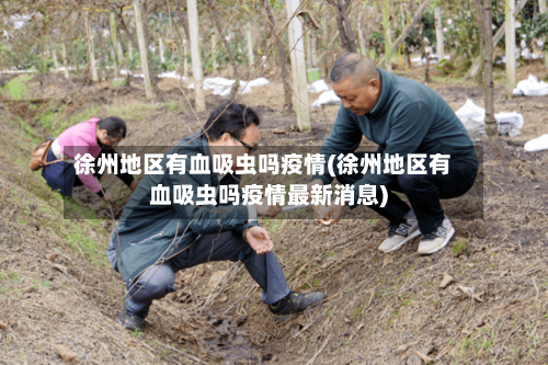 徐州地区有血吸虫吗疫情(徐州地区有血吸虫吗疫情最新消息)
