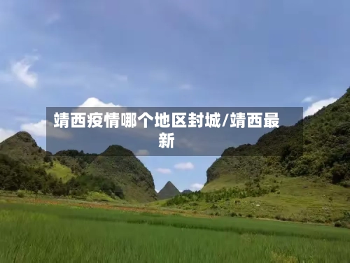 靖西疫情哪个地区封城/靖西最新-第3张图片