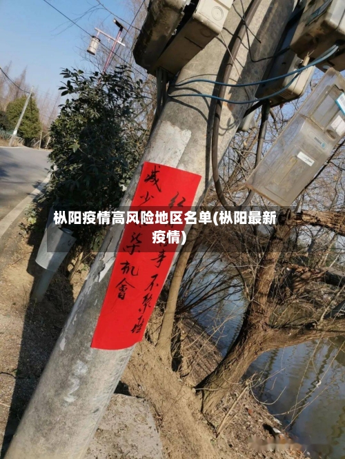 枞阳疫情高风险地区名单(枞阳最新疫情)